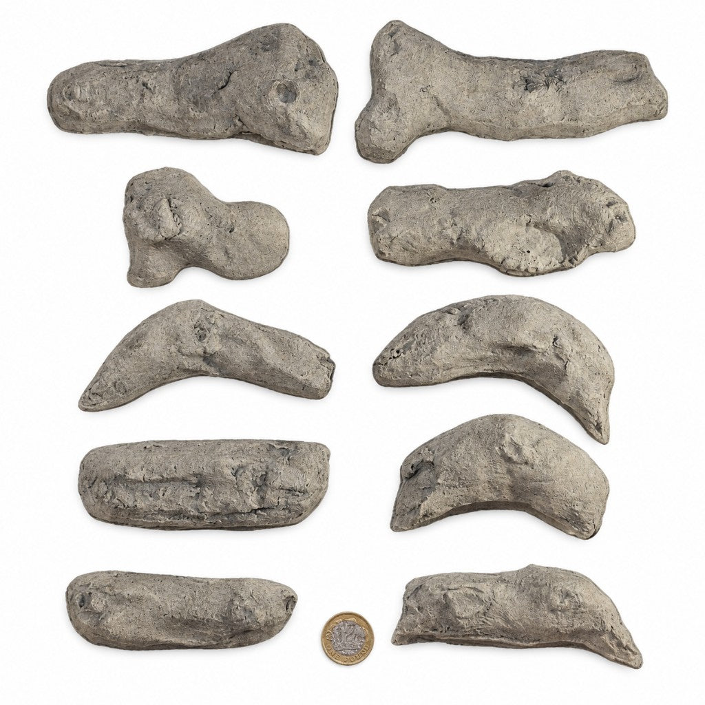 10 Piece HD Small Driftwood ceramic logs laid out individually with a £1 coin for scale
