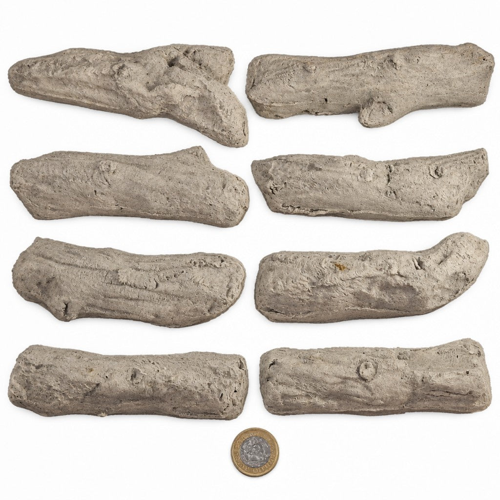 8 Piece Driftwood ceramic logs laid out individually with a £1 coin for scale