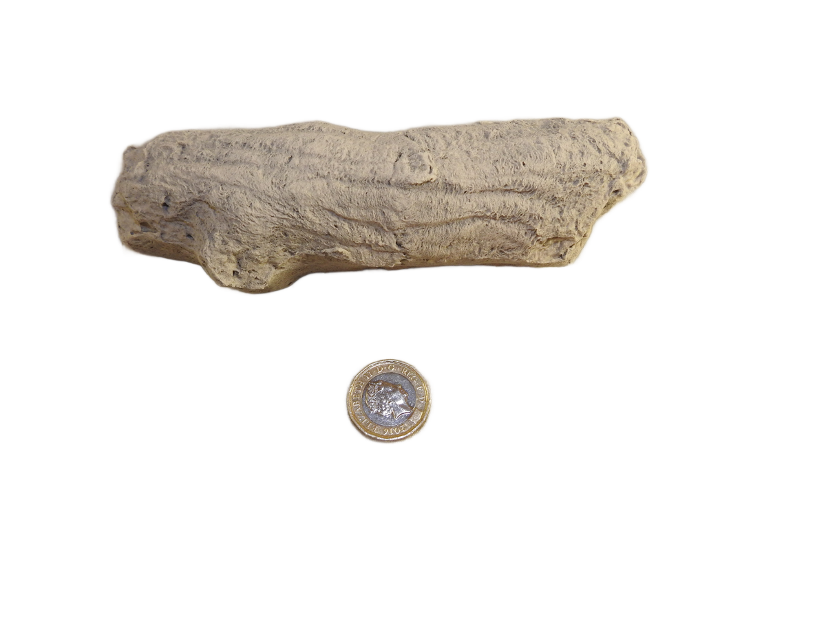 16 Piece Driftwood ceramic log