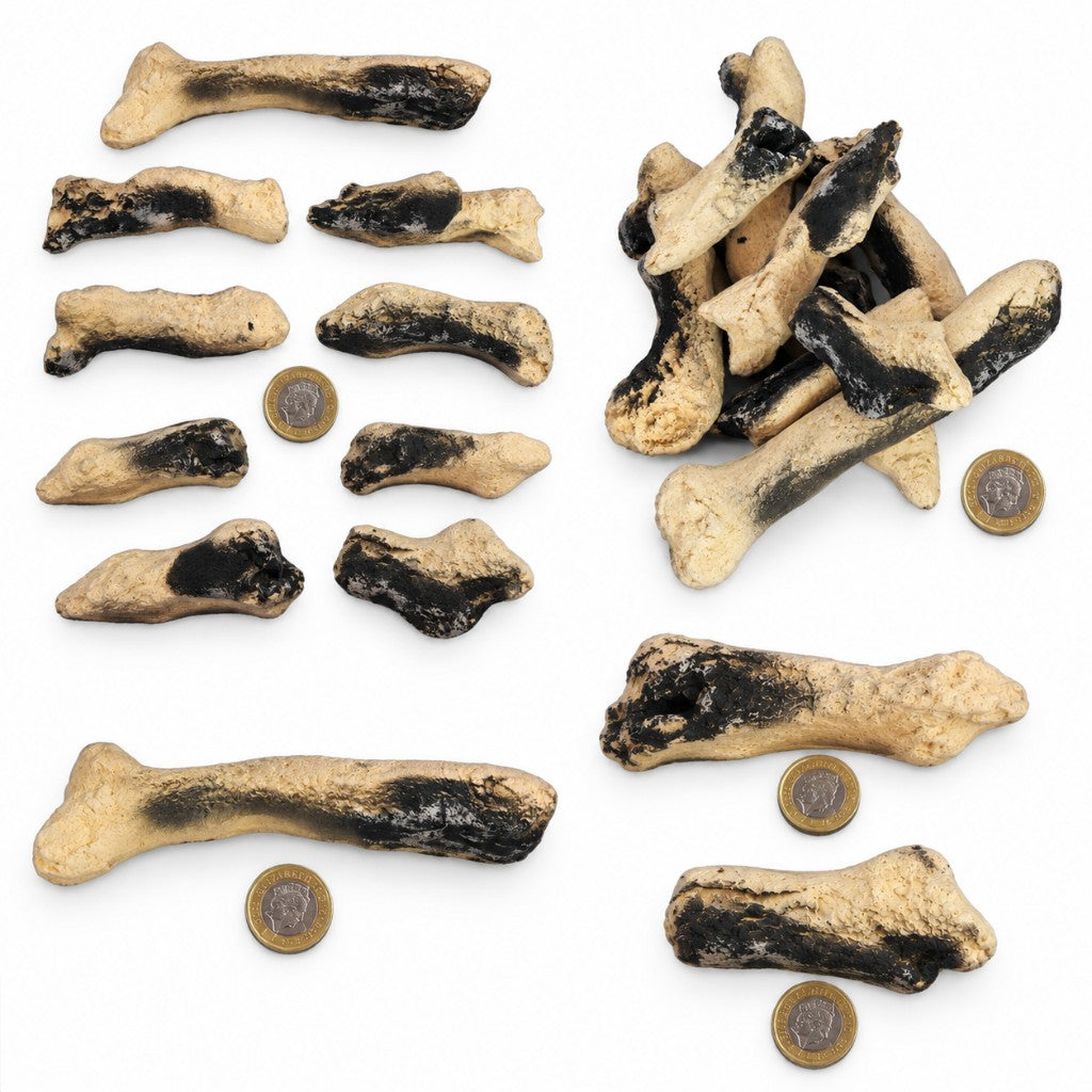 9 Piece Burnt Sand Coloured Effect Driftwood Set laid out and stacked with a £1 coin for scale. Actual product photographed.